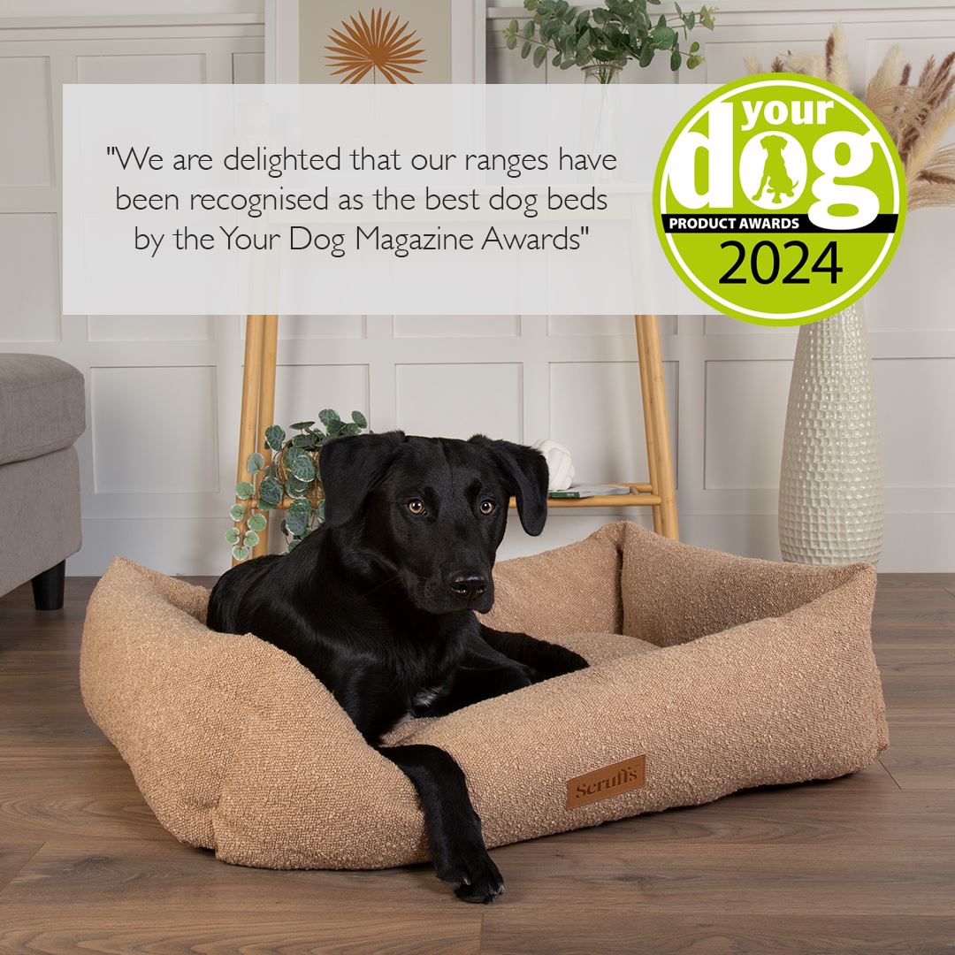 The 10 Best Dog Beds of 2024, Tested and Reviewed