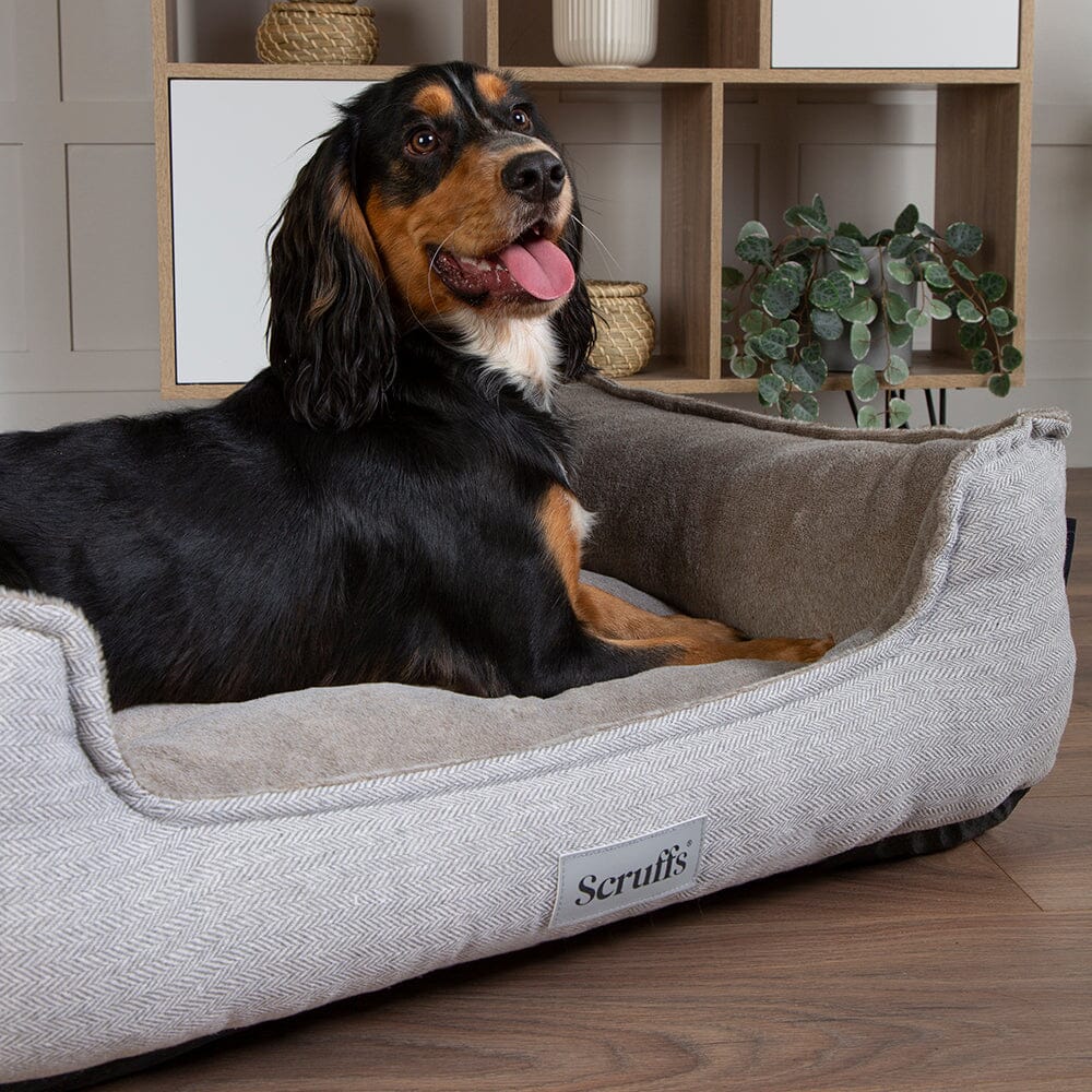 Memory foam cut to best sale size for dog bed