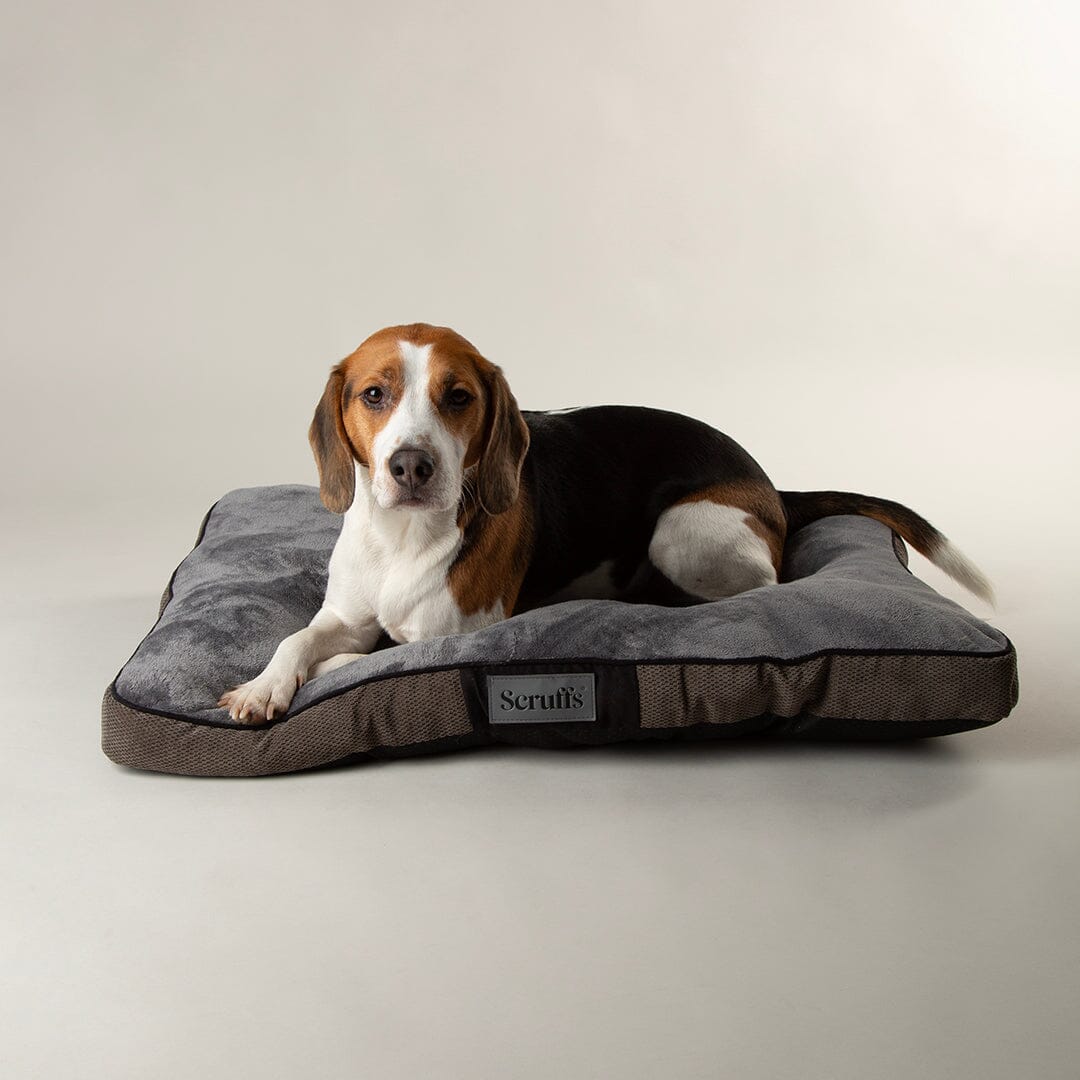 Chester Mattress - Graphite Grey Dog Bed Scruffs® 