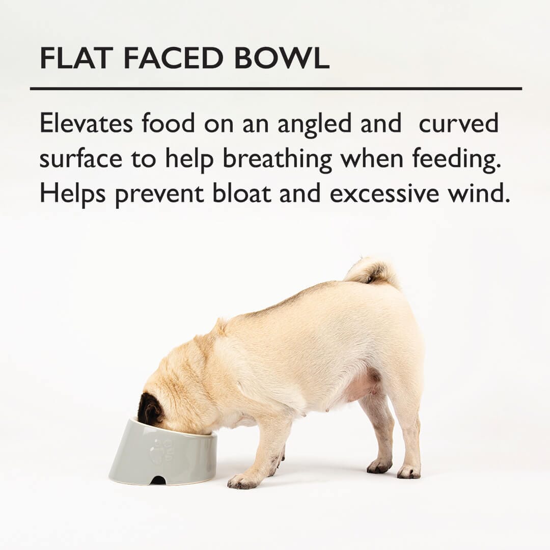 Flat dog shop bowl