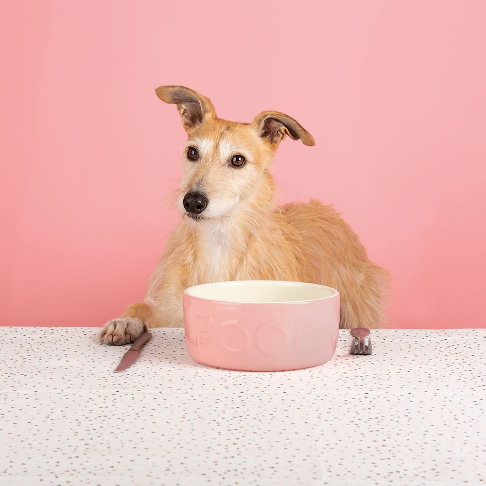 Retro Dog Bowl Dinner Drinks – Squishy Cheeks