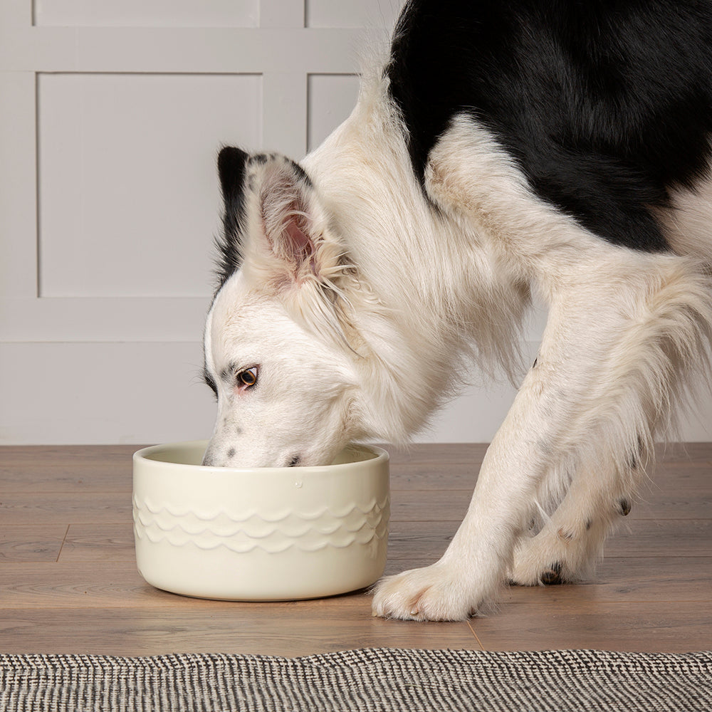 Large Classic Pet Bowl Sets