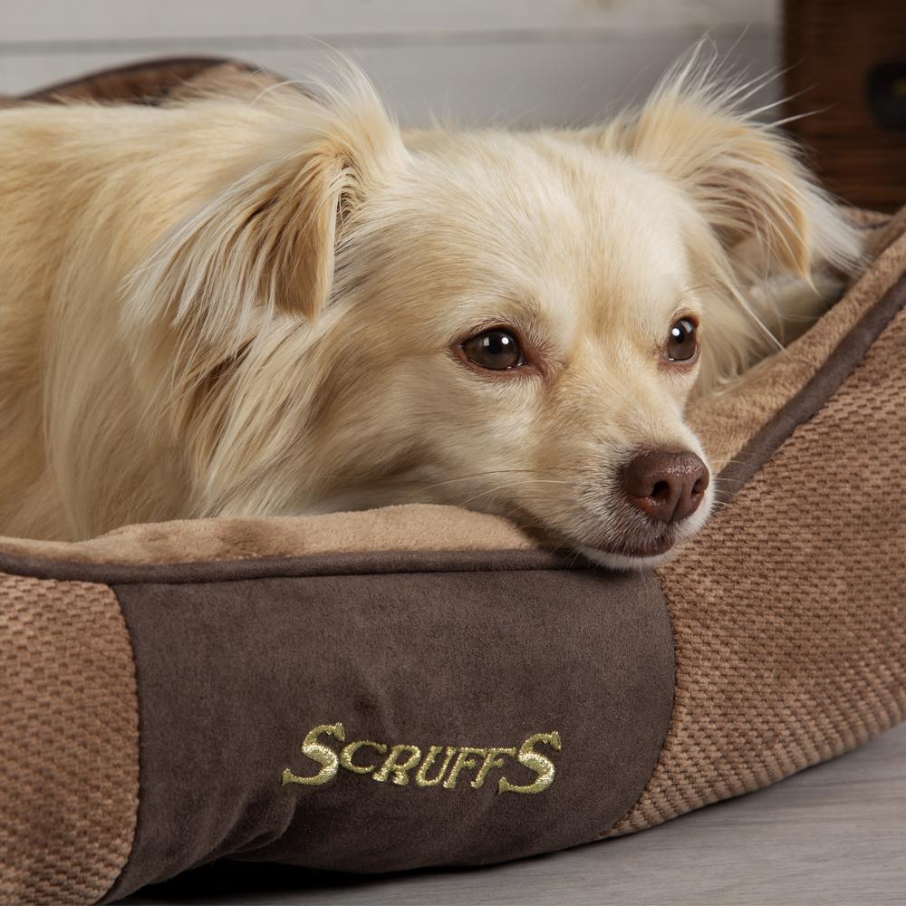 Chester Box Dog Bed Brown Dog Beds Scruffs petslovescruffs