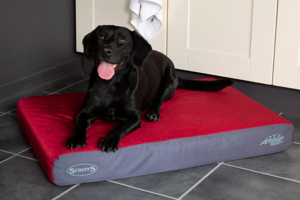 Win a Battle-Ready Scruffs® Bed this November!