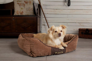 Compliment your Home Decor with Scruffs® Pet Bedding