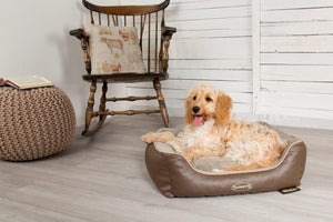 #ScruffsLoves: The New Florence Collection & Ellen Donut Beds Make our Must-Have List for August 2019