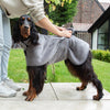 Expedition Deluxe Noodle & Microfibre Dog Drying Coat - Storm Grey Dog Coat Scruffs® 