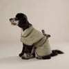 Expedition Deluxe Noodle & Microfibre Dog Drying Coat - Khaki Green Dog Coat Scruffs® 