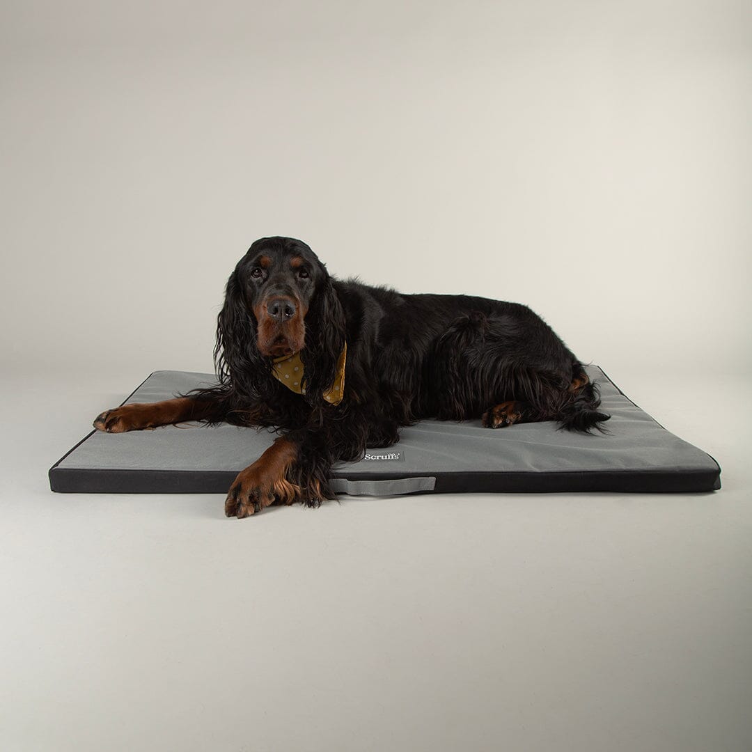 Expedition Crate Mat - Graphite Grey Dog Crate Mat Scruffs® 