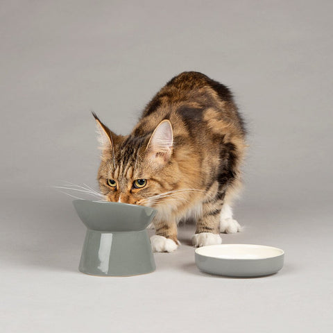 Classic Raised Cat Feeder Bowl & Saucer Set - Grey Pet Bowls, Feeders & Waterers Scruffs® 