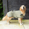 Expedition Deluxe Noodle & Microfibre Dog Drying Coat - Khaki Green Dog Coat Scruffs® 