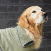 Expedition Deluxe Noodle & Microfibre Dog Drying Coat - Khaki Green Dog Coat Scruffs® 