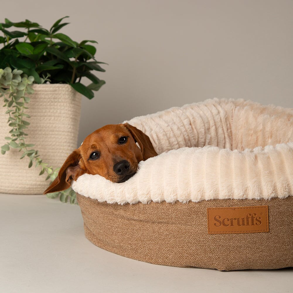 Ellen Donut Bed - Tan Dog Bed Scruffs® 