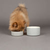 Icon 2 Piece Set 13cm Cat & Small Pet Food & Drink Bowl Set - Light Grey Pet Bowls, Feeders & Waterers Scruffs® 