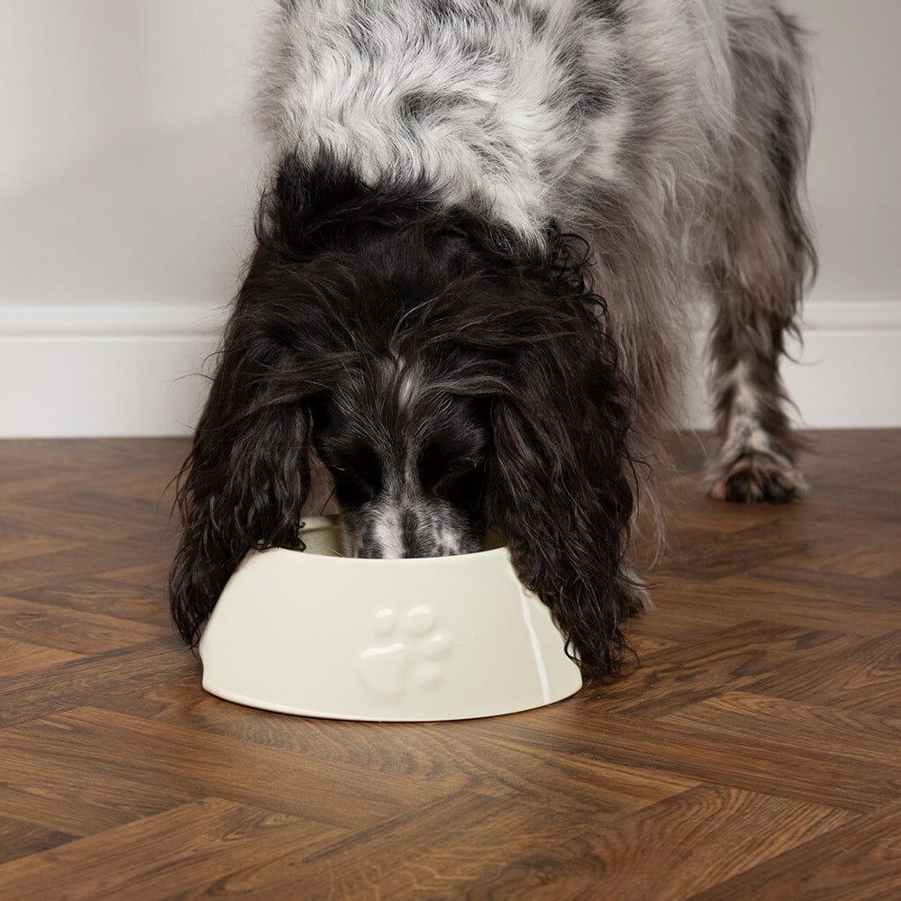 Long eared dog water fashion bowls