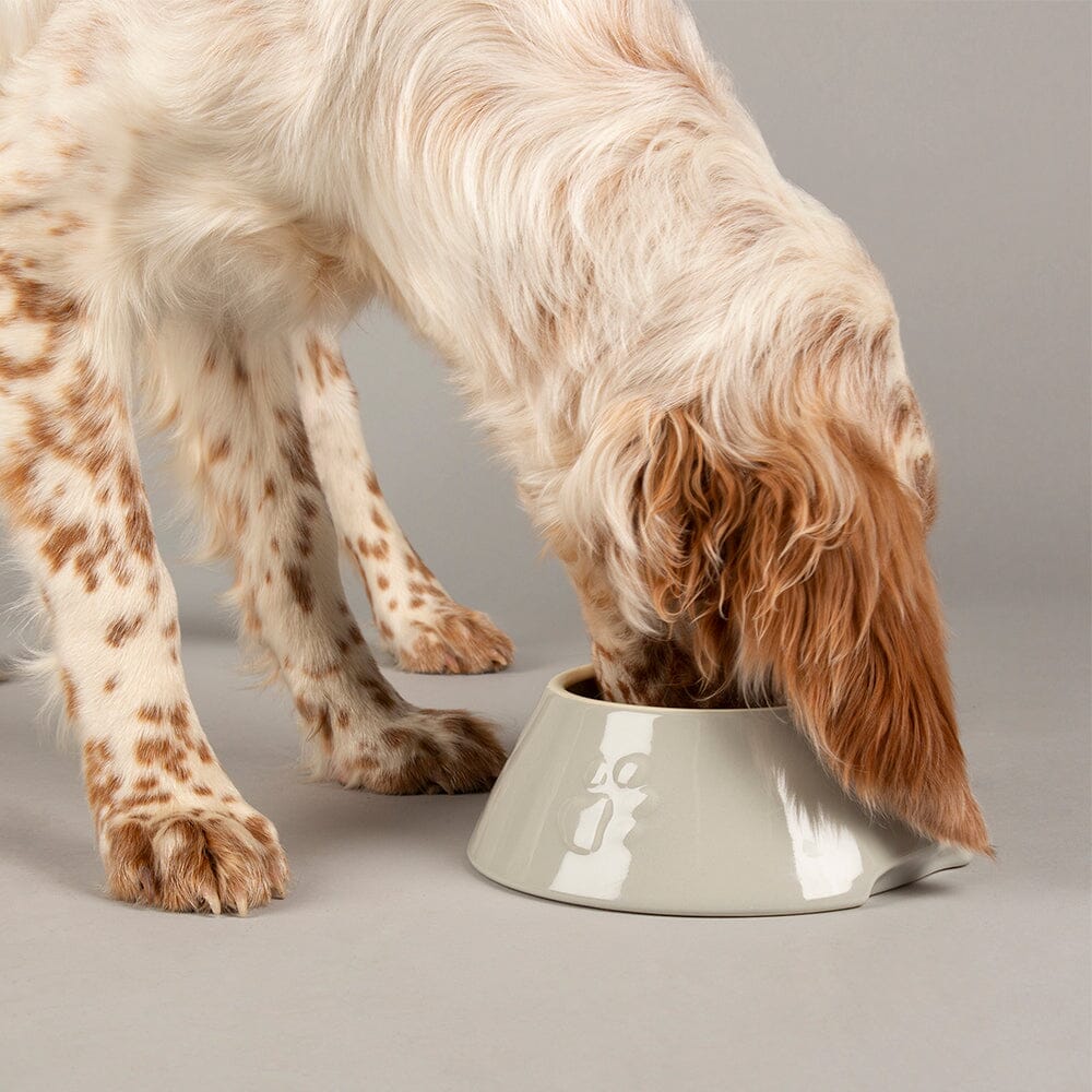 Long eared dog water bowls best sale