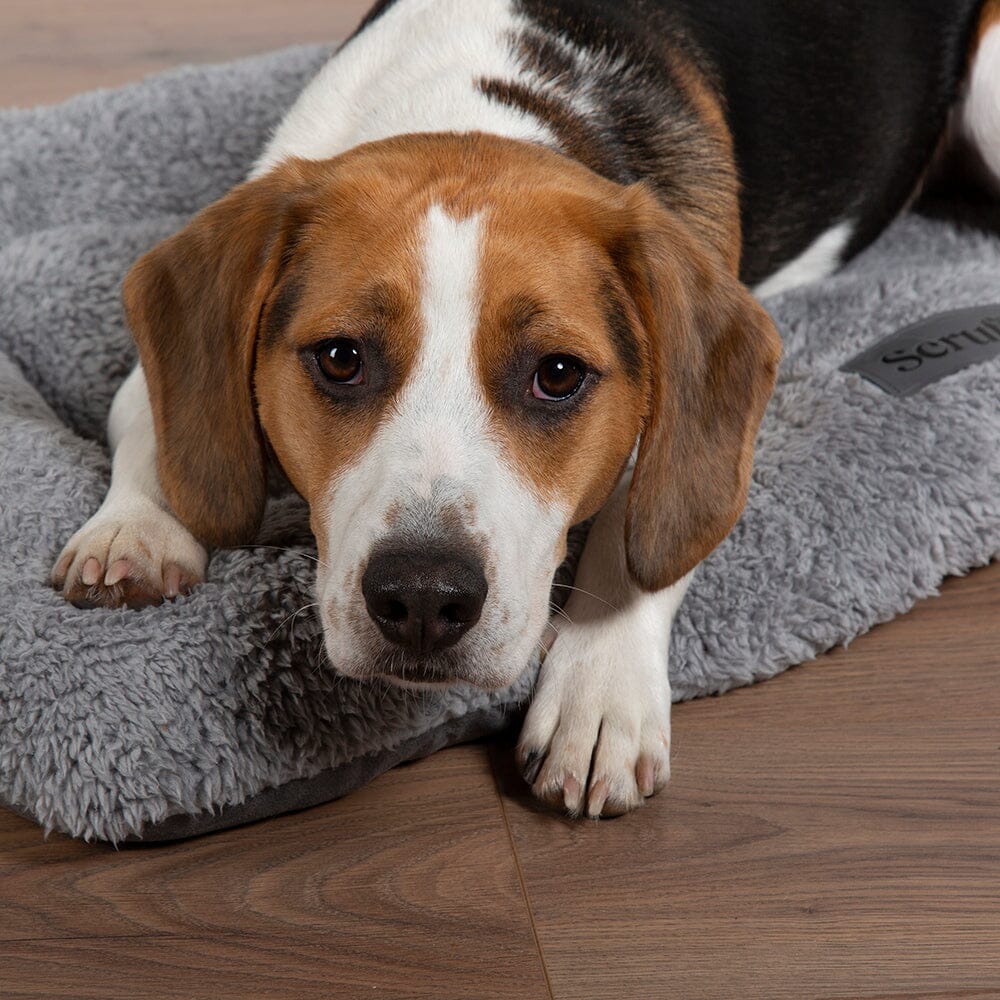 Cosy Crate Mat - Grey Dog Bed Scruffs® 