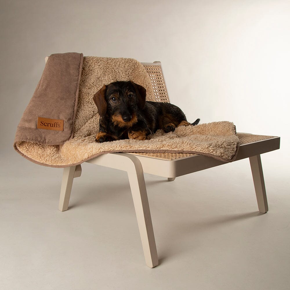 Dog themed blankets outlet