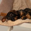 Snuggle Blanket - Caramel Brown Dog Blanket Scruffs® 