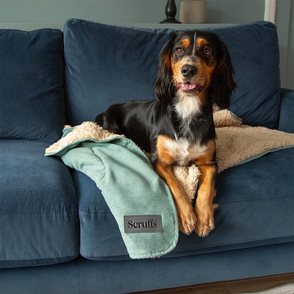 Snuggle Blanket - Sage Green Dog Blanket Scruffs® 