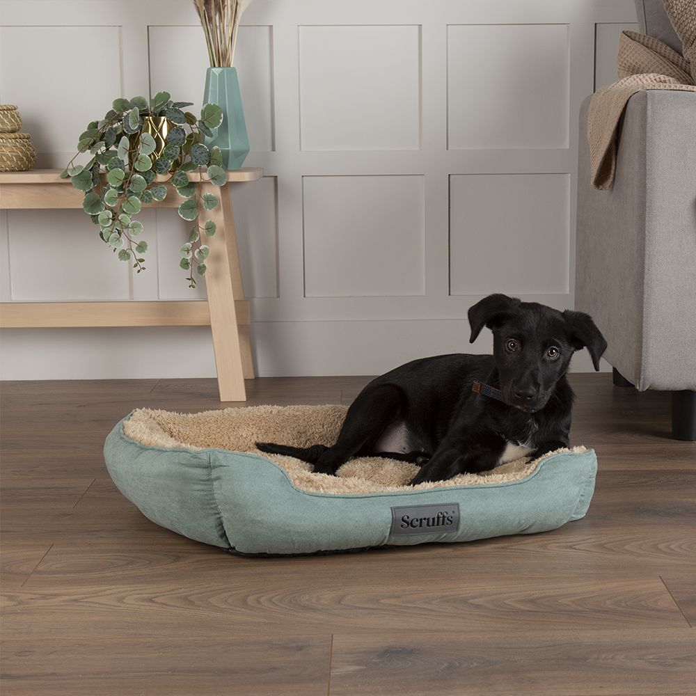 Cosy Soft-Walled Dog Bed - Sage Green Dog Bed Scruffs® 