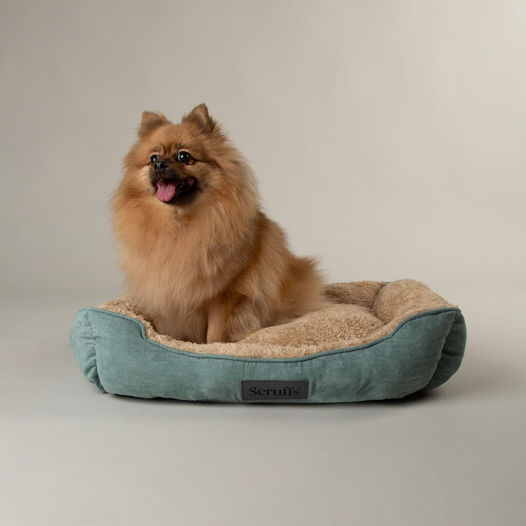 Cosy Soft-Walled Dog Bed - Sage Green Dog Bed Scruffs® 