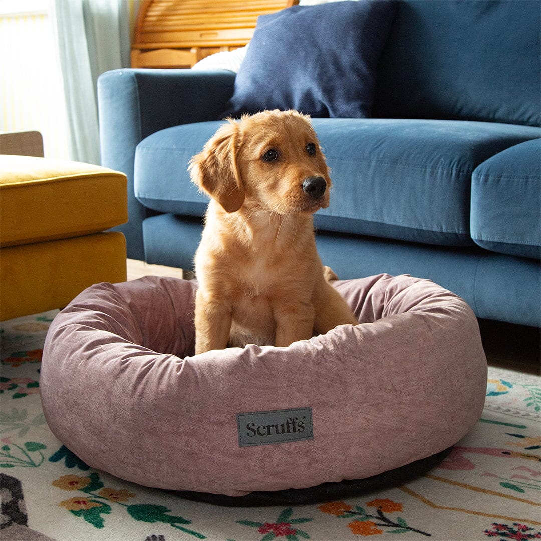 Oslo Ring Bed - Blush Pink Dog Bed Scruffs® 