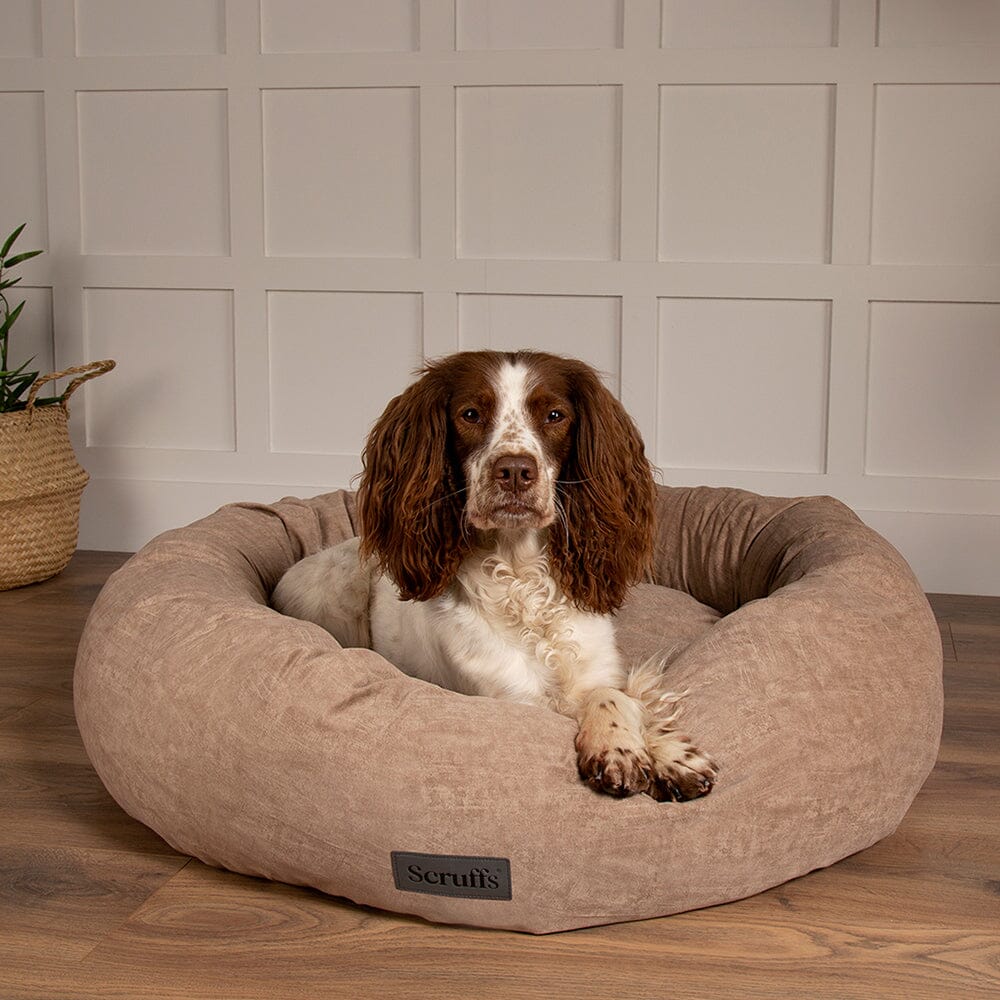 Round dog bed large sales