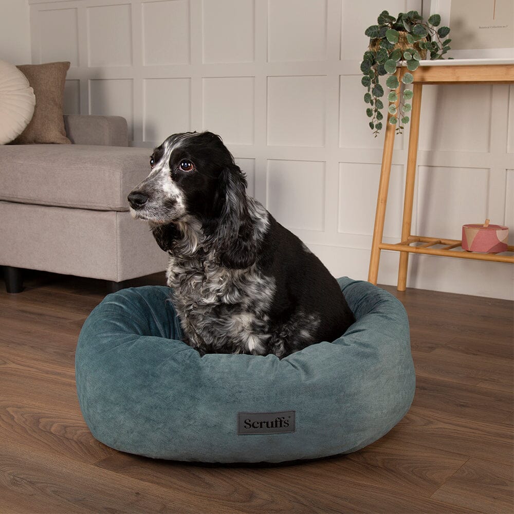 Oslo Ring Bed - Lake Teal Dog Bed Scruffs® 