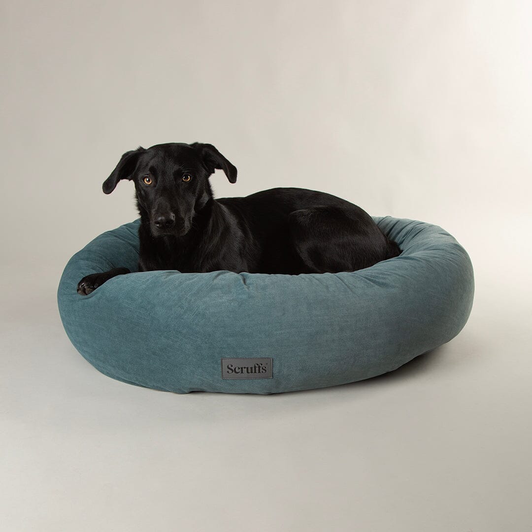 Oslo Ring Bed - Lake Teal Dog Bed Scruffs® 