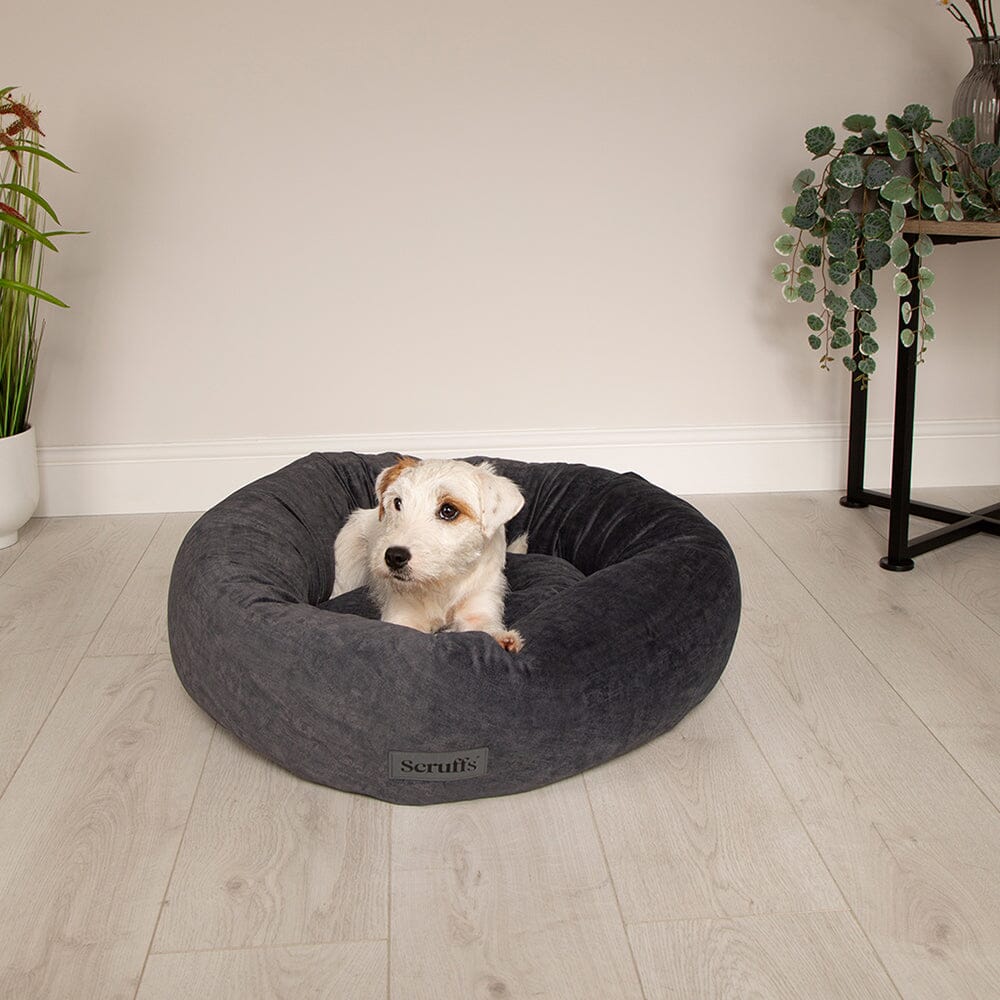 Oslo Ring Bed - Stone Grey Dog Bed Scruffs® 