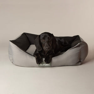 Expedition Dog Box Bed Grey Dog Beds Scruffs petslovescruffs