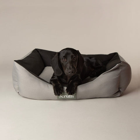 Expedition Box Bed - Storm Grey Dog Bed Scruffs® 