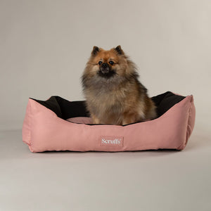 Expedition Dog Box Bed Pink Dog Beds Scruffs petslovescruffs