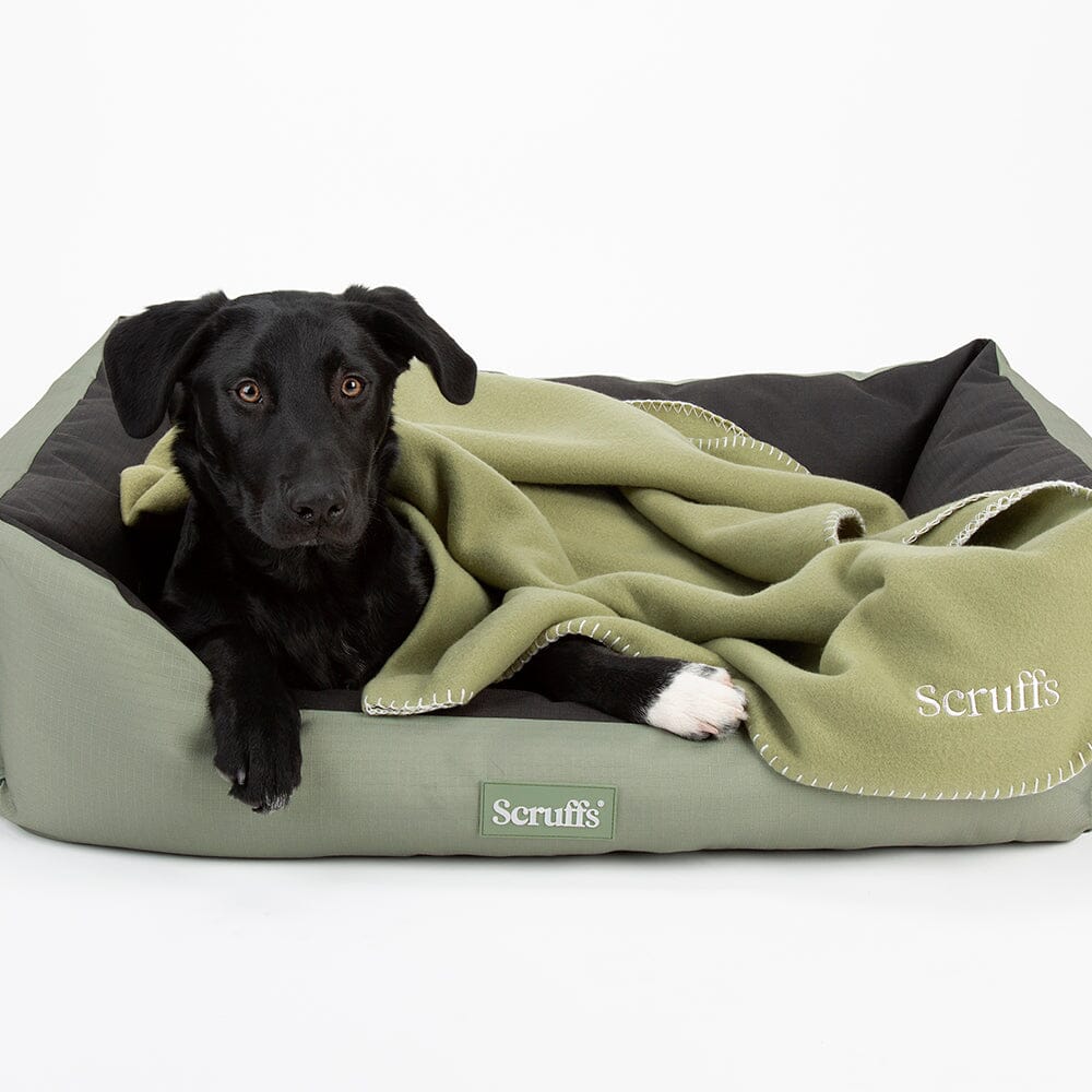 Expedition Dog Box Bed Green Dog Beds Scruffs petslovescruffs