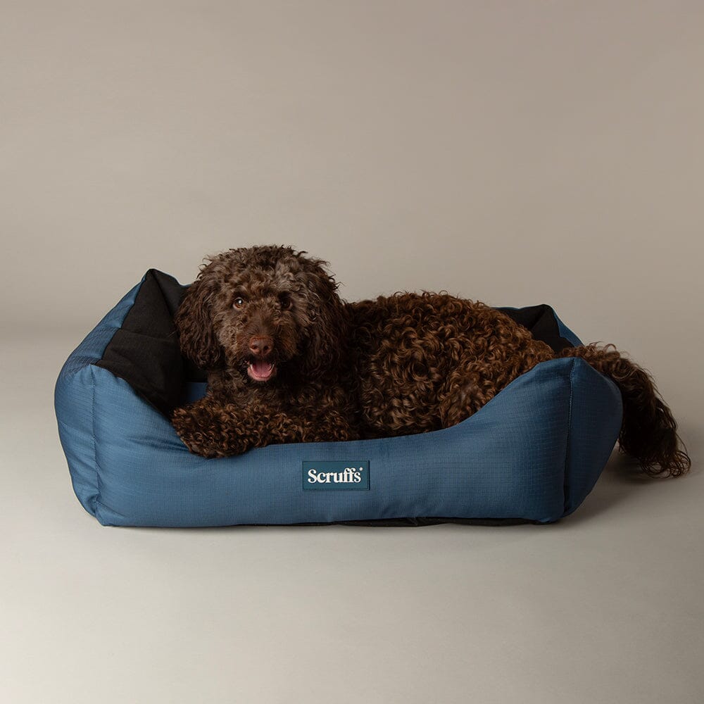 Scruffs waterproof dog bed sales