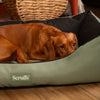 Expedition Box Bed - Khaki Green Scruffs® 