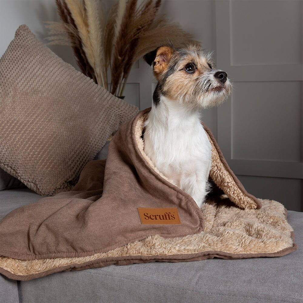 Snuggle Dog Blanket Caramel Brown Pet Blankets petslovescruffs