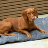 Expedition Roll Up Travel Pet Bed - Khaki Green Dog Bed Scruffs® 