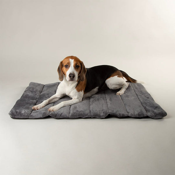 Travel Blanket, Travel outlets Pet Bed, Dog Crate Bedding, Roll Bed, Dog Bed Duvet, Washable Dog Bed, Dog Rug, Dog Throw, Dog Travel, Dog Travel Bed