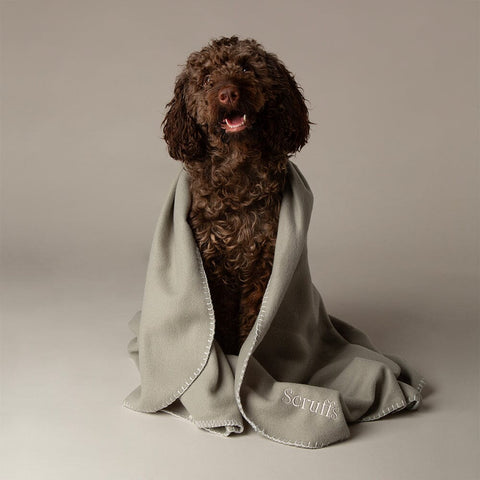 Expedition Fleece Pet Blanket - Storm Grey Dog Blanket Scruffs® 