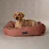 Seattle Box Bed - Coral Pink Dog Bed Scruffs® 