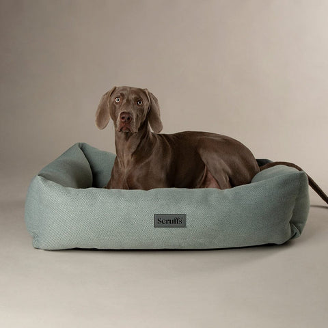 Seattle Box Bed - Topaz Green Dog Bed Scruffs® 