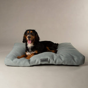 Seattle Mattress - Topaz Green Dog Bed Scruffs® 