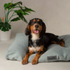 Seattle Mattress - Topaz Green Dog Bed Scruffs® 