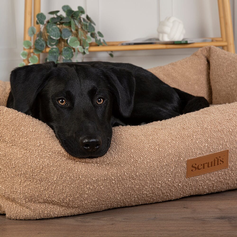 Dog bed 100cm x 70cm hotsell