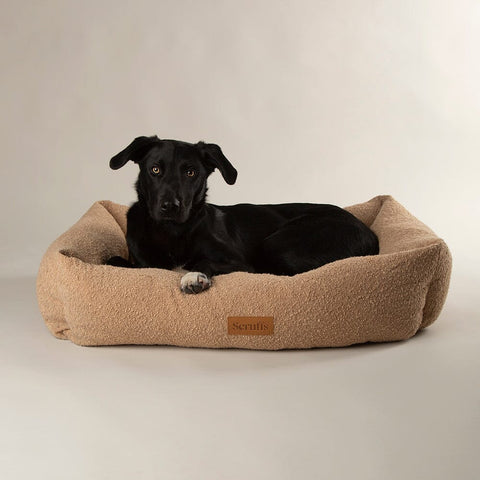 Boucle Box Bed - Desert Brown Dog Bed Scruffs® 