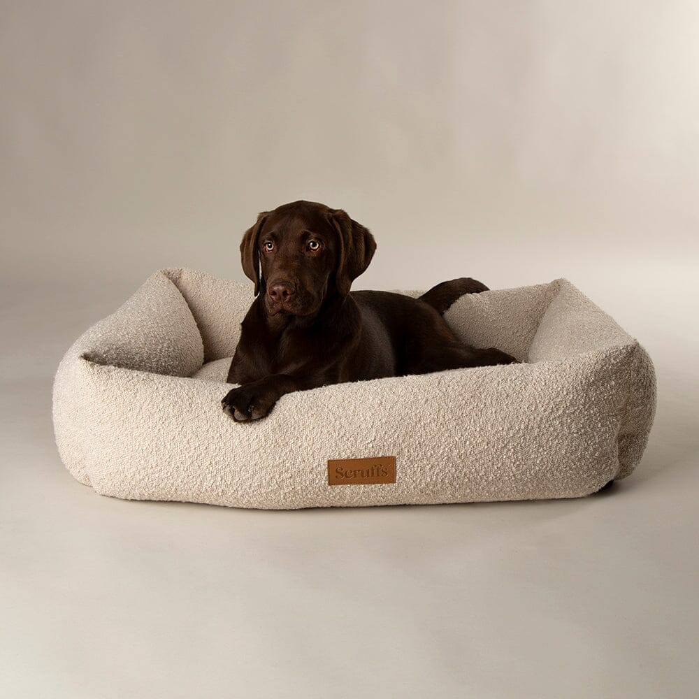 Boucle Box Bed - Ivory Dog Bed Scruffs® 