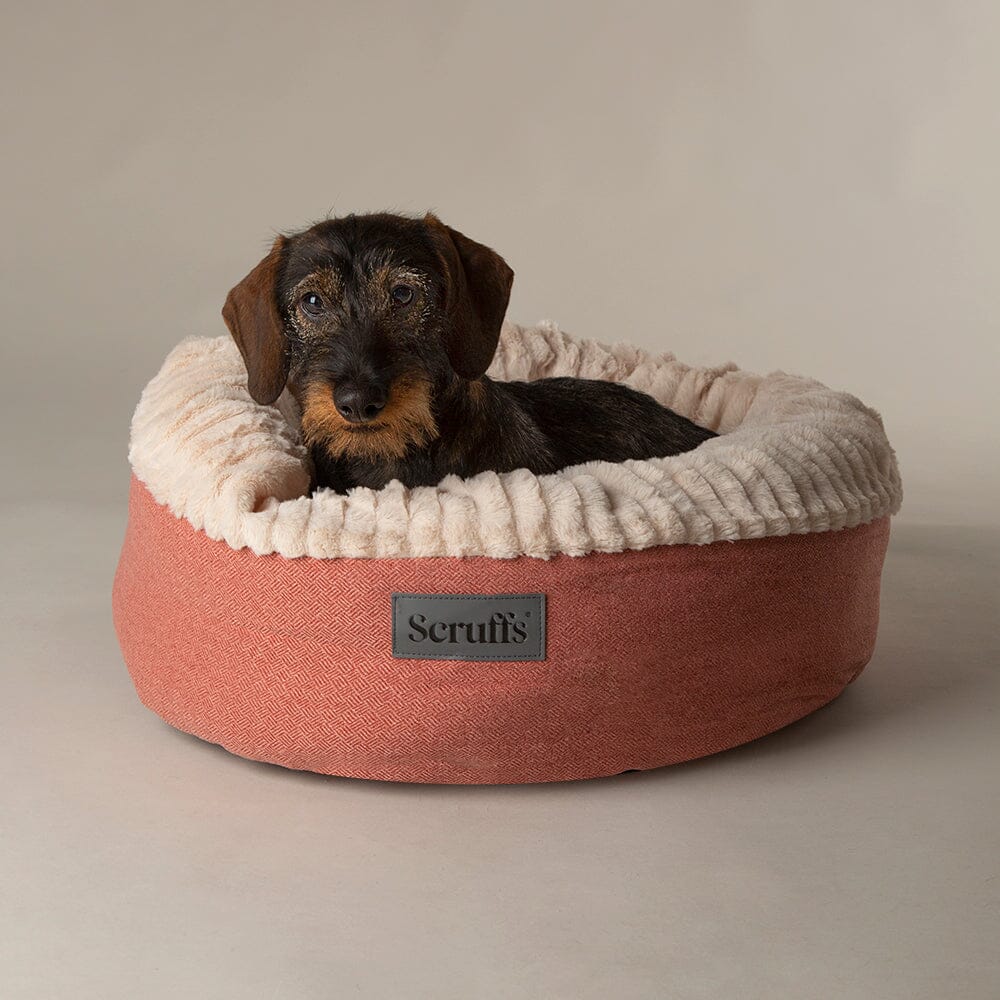 25cm canoscan Donut Bed
