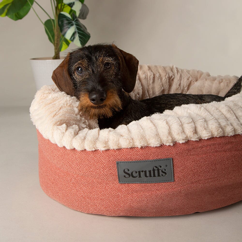 Ellen Donut Bed - Terracotta Red Dog Bed Scruffs® 